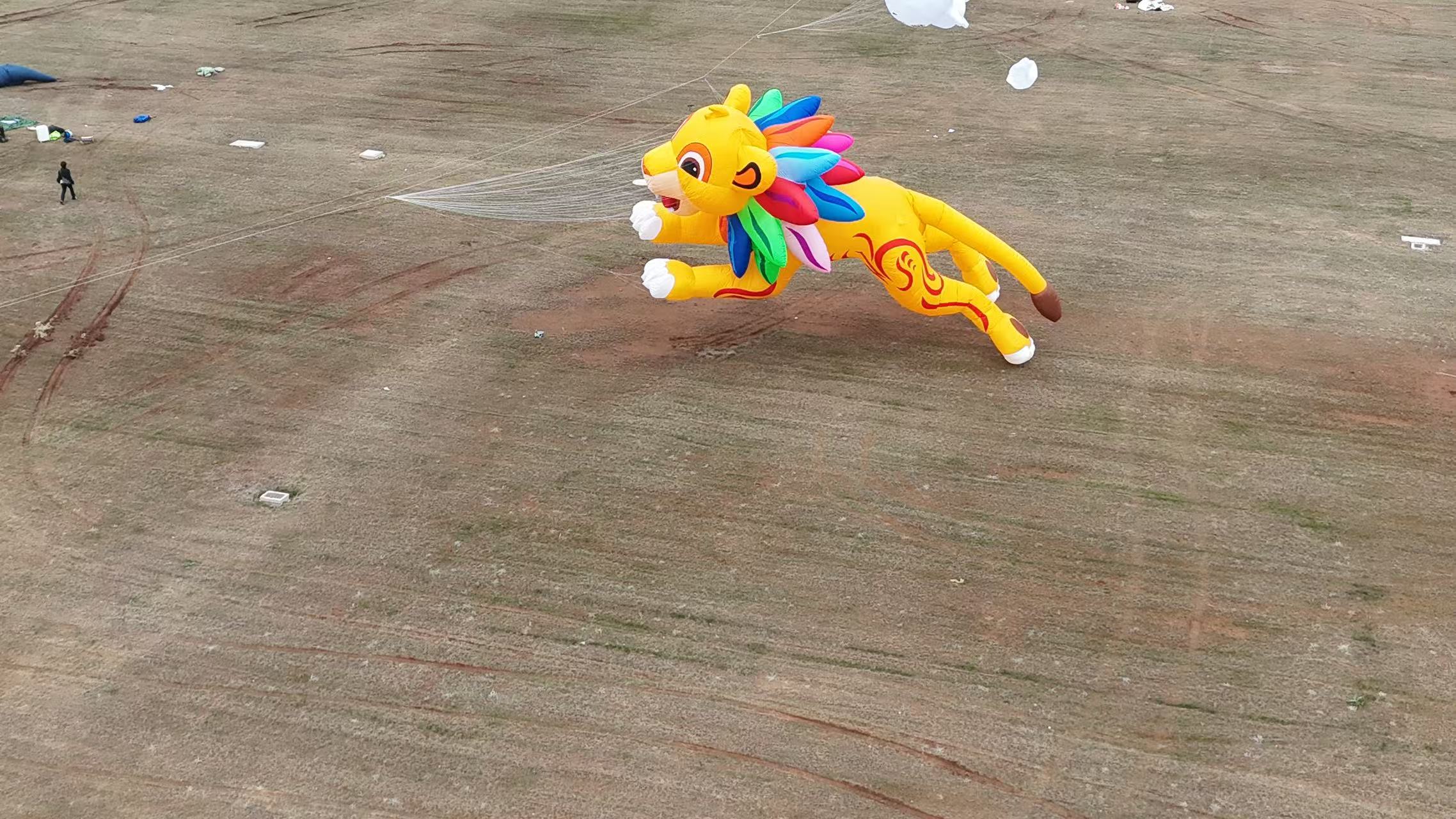 六安市品牌风筝定制软体风筝定制 - 价格