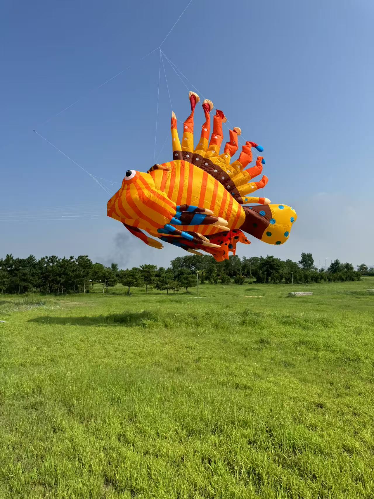 六安市风筝制作风筝商业放飞 - 推荐