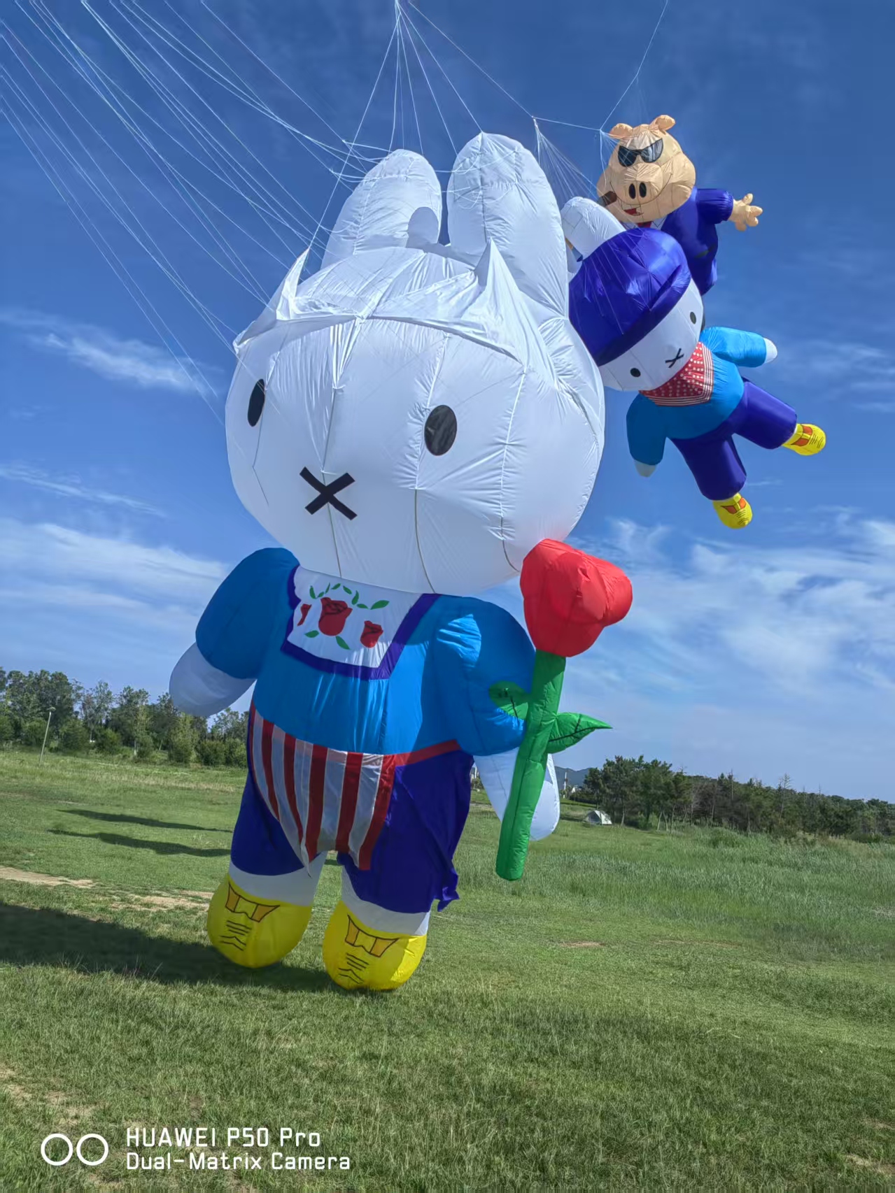 六安市儿童风筝定制儿童风筝定制 - 一站式服务