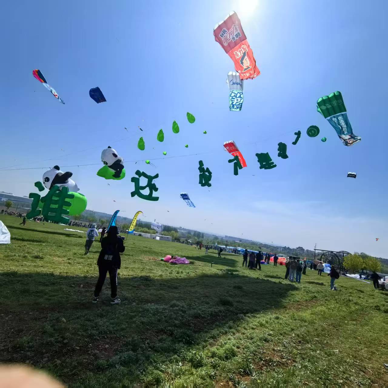 六安市风筝DIY风筝定制 - 推荐